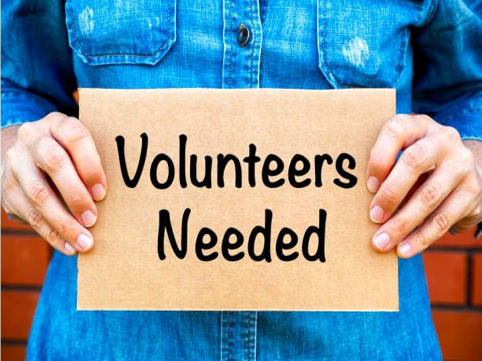 volunteer-img1